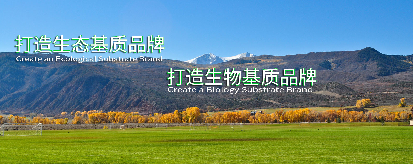 人生就是搏(ZLKS)集团唯一官方网站
