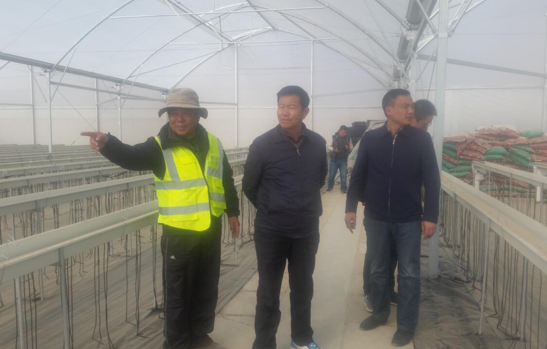 人生就是搏(ZLKS)集团唯一官方网站