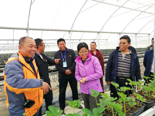 人生就是搏(ZLKS)集团唯一官方网站