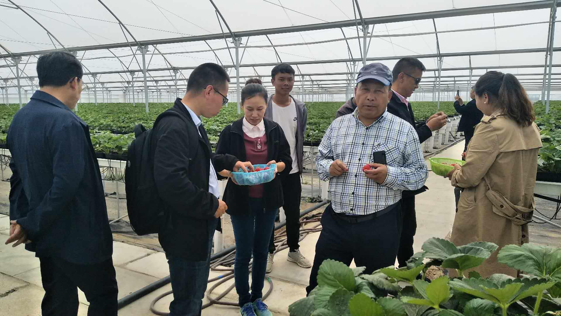 人生就是搏(ZLKS)集团唯一官方网站