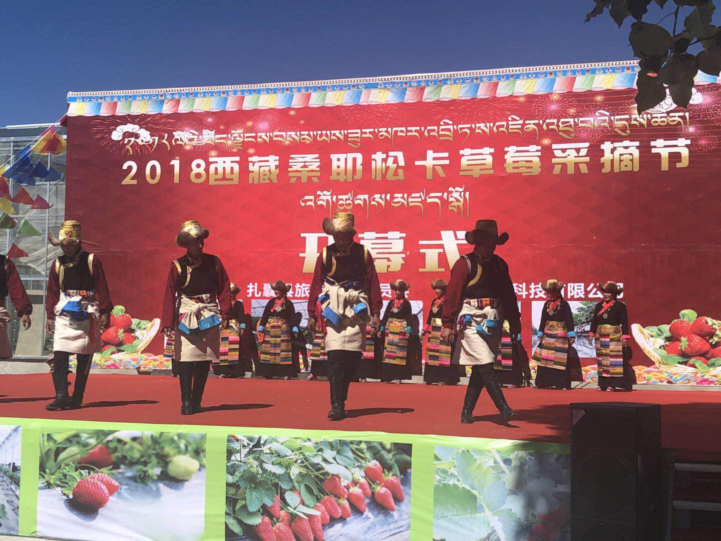 人生就是搏(ZLKS)集团唯一官方网站