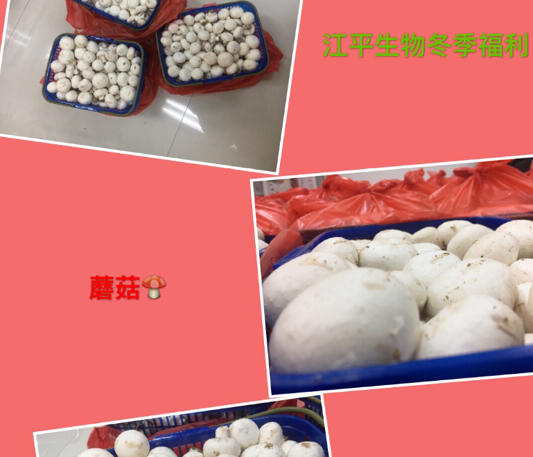 人生就是搏(ZLKS)集团唯一官方网站