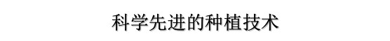 5d1c5ddb73007