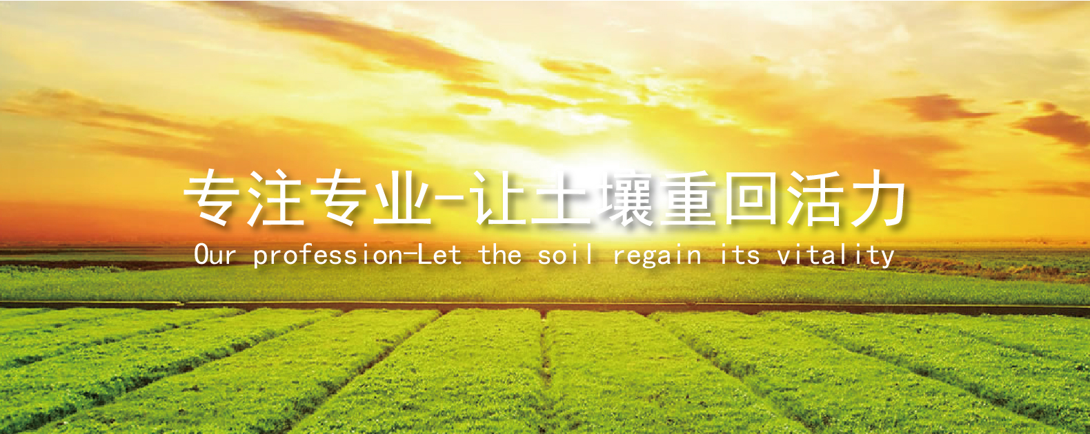 人生就是搏(ZLKS)集团唯一官方网站