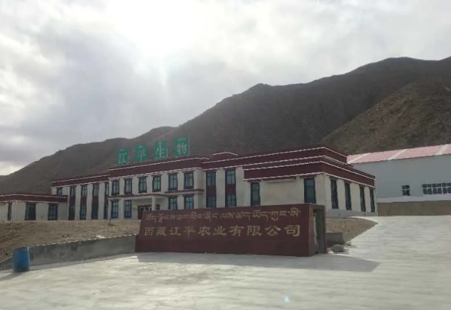 人生就是搏(ZLKS)集团唯一官方网站