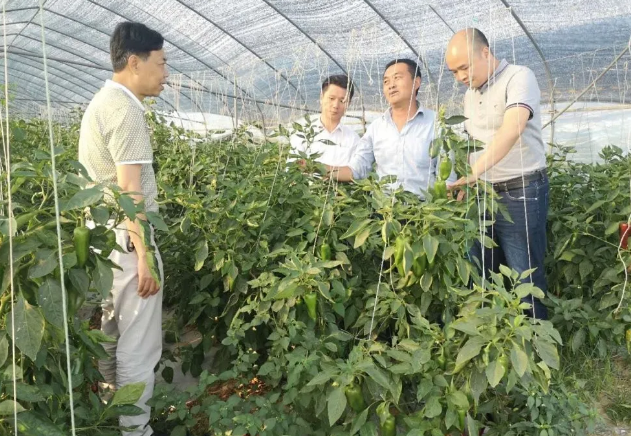 人生就是搏(ZLKS)集团唯一官方网站
