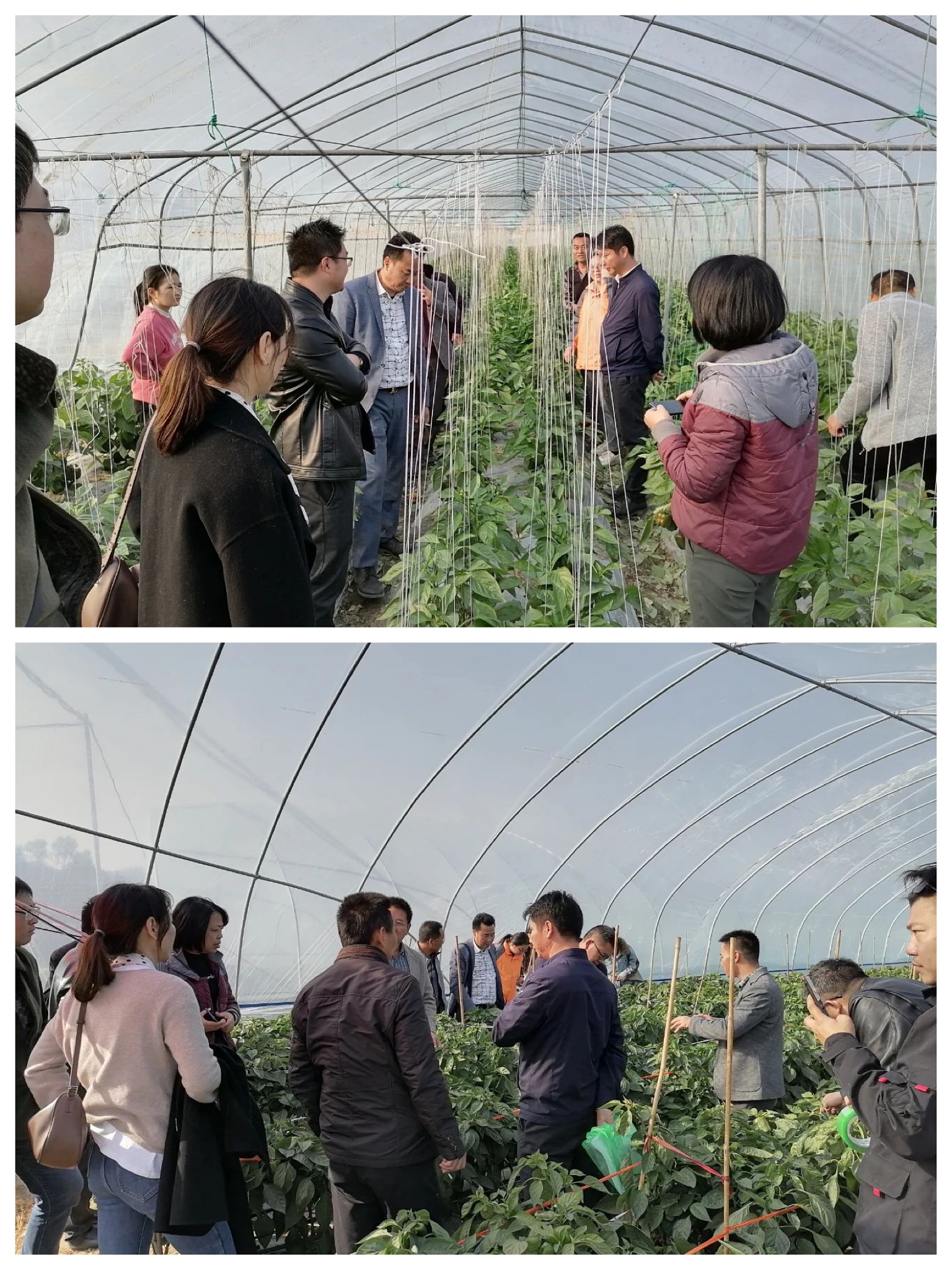 人生就是搏(ZLKS)集团唯一官方网站