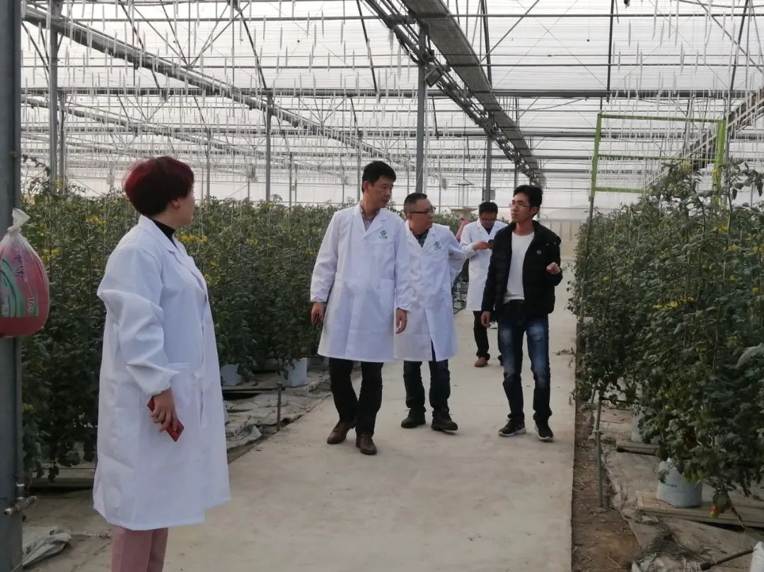 人生就是搏(ZLKS)集团唯一官方网站