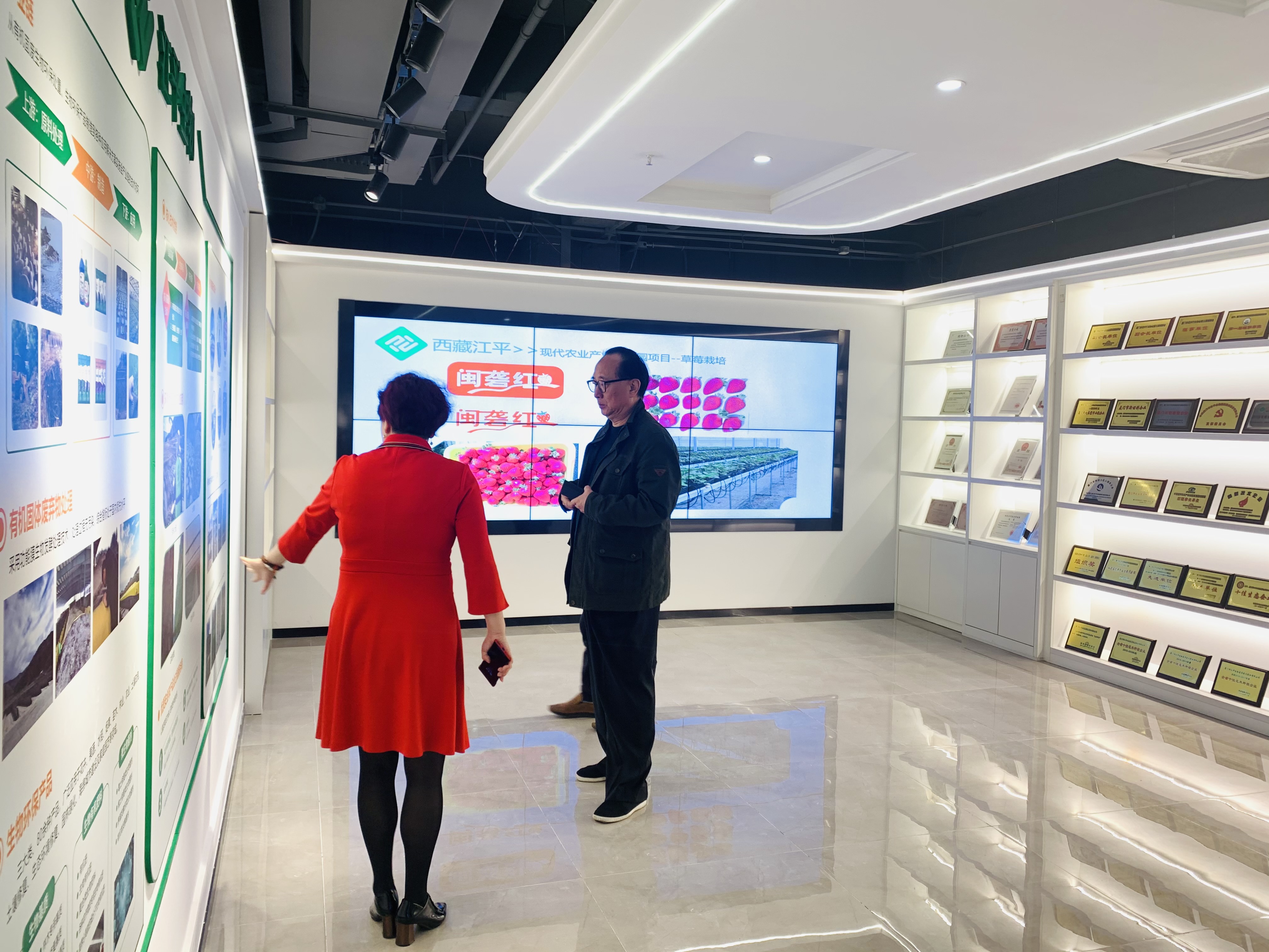 人生就是搏(ZLKS)集团唯一官方网站