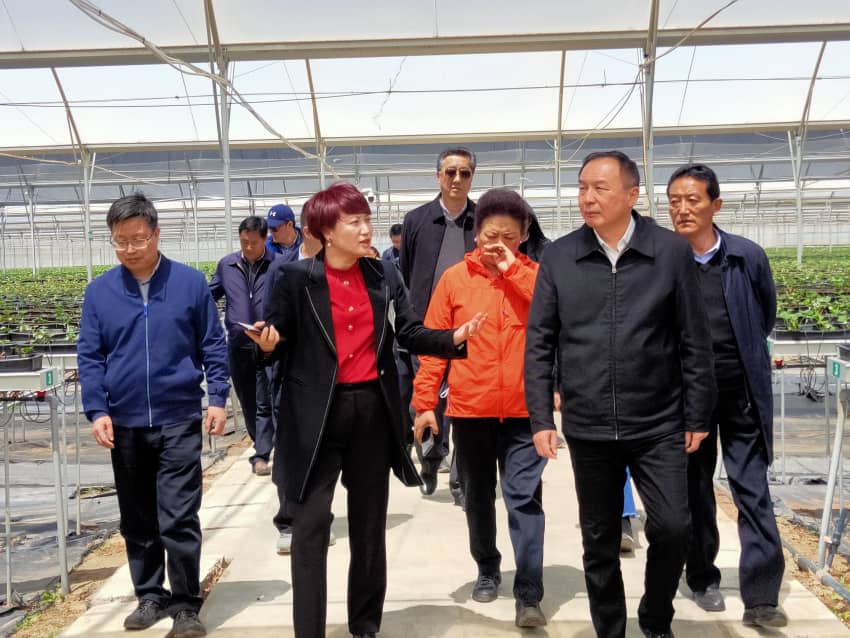 人生就是搏(ZLKS)集团唯一官方网站