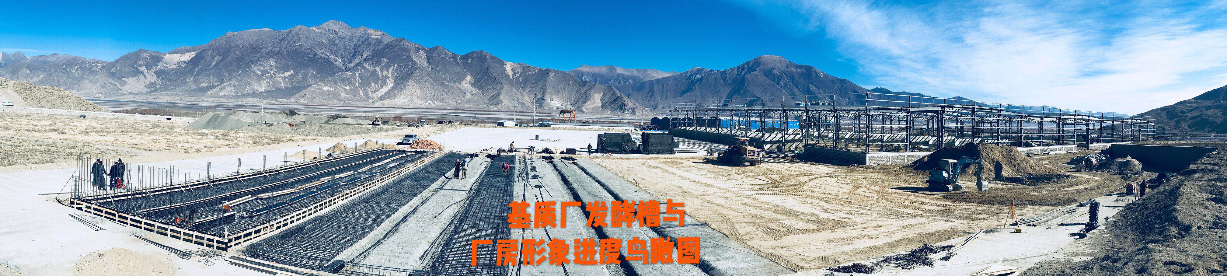 人生就是搏(ZLKS)集团唯一官方网站