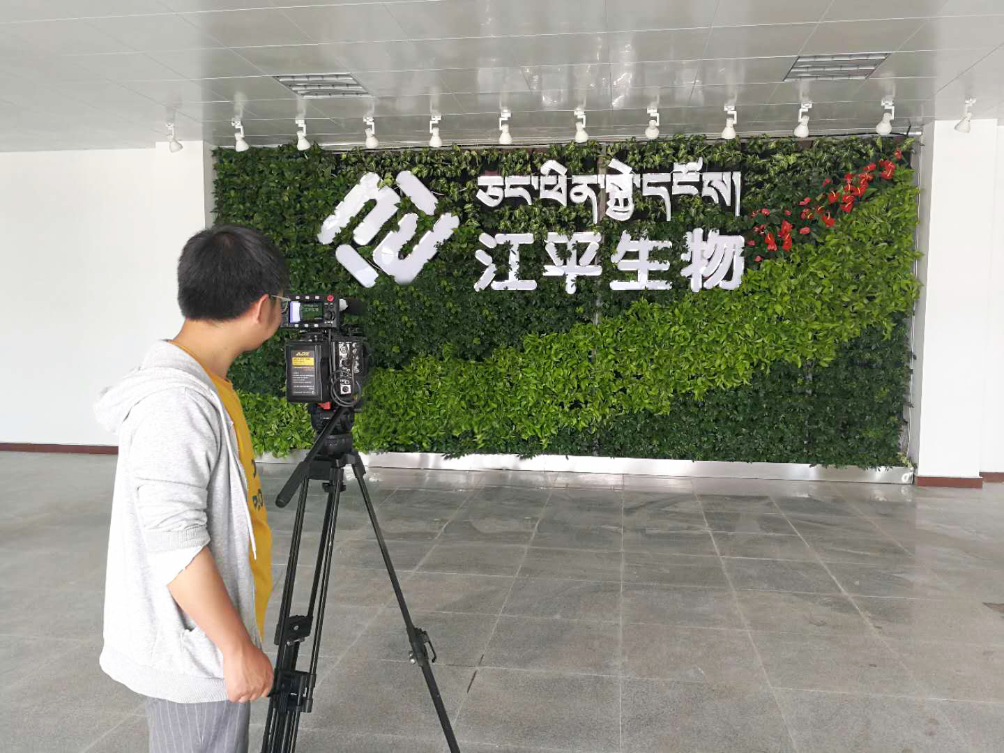 人生就是搏(ZLKS)集团唯一官方网站