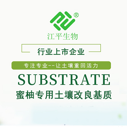 人生就是搏(ZLKS)集团唯一官方网站