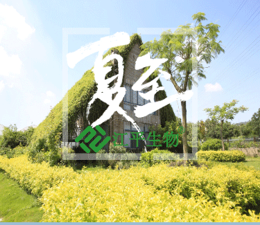 人生就是搏(ZLKS)集团唯一官方网站